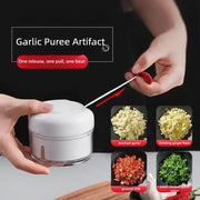 Manual Garlic Chopper with Easy Pull Mechanism